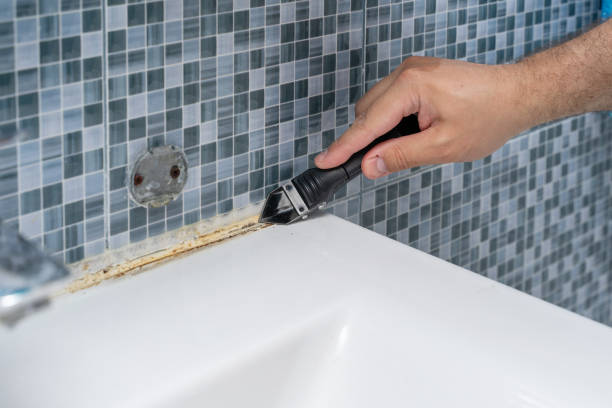 Best Local Mold Removal Service  in Star Valley, AZ