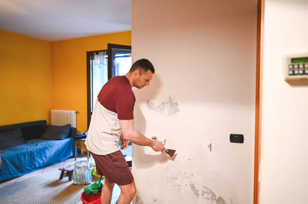 Best Attic Mold Removal  in Star Valley, AZ